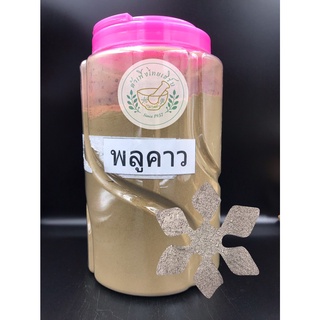 ผงพลูคาว ขนาด 500g,1kg บดละเอียดแท้ 100% บรรจุถุงซิบล็อค 鱼腥草 Houttuyniacordata