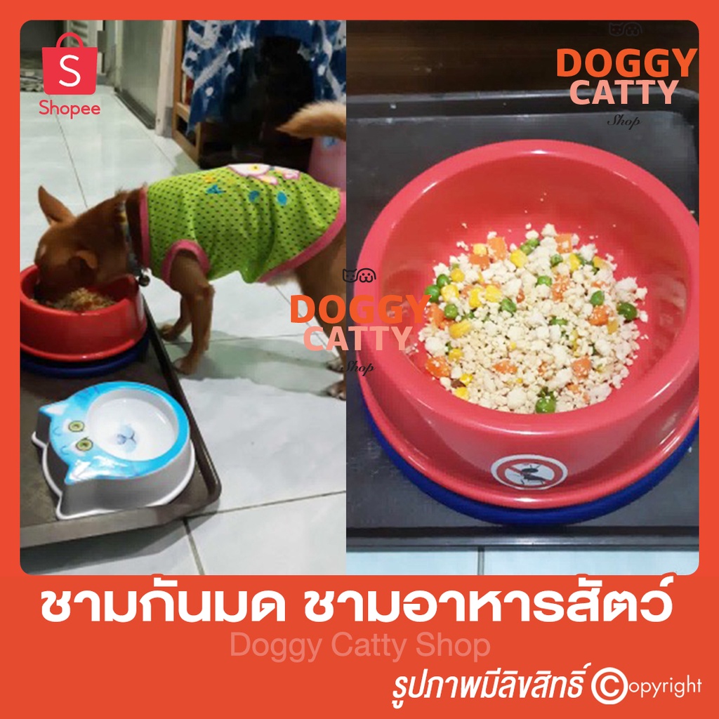 ชามกันมด-กันมด-no-ant-pet-bowl-ชามอาหารสุนัข-ชามอาหารแมว