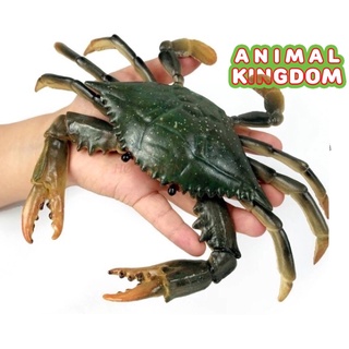 Animal Kingdom - โมเดลสัตว์ ปูม้า ก้ามเหลือง ขนาด 16.50 CM (จากสงขลา)