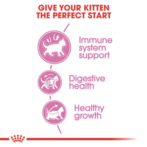 แบ่งขาย-royal-canin-1-กิโลกรัม-สูตร-second-age-kitten-สำหรับ-ลูกแมว-อายุ-2-12-เดือน