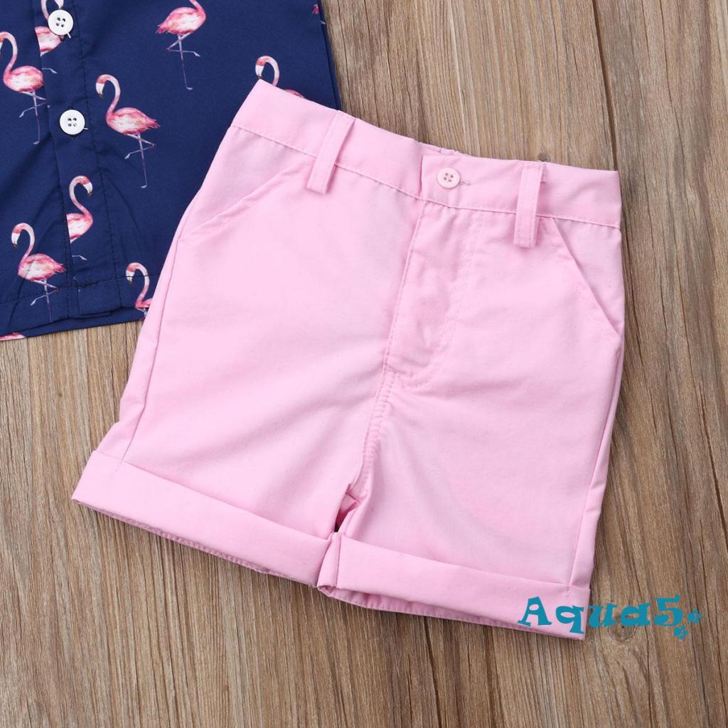 aqq-ชุดเสื้อเชิ้ต-พิมพ์ลายนกฟลามิงโก้-และกางเกงขาสั้น-สีพื้น-แฟชั่นฤดูร้อน-สําหรับเด็กผู้ชาย