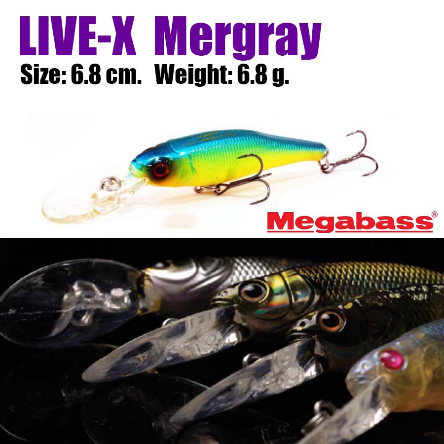 megabass-live-x-margay-เหยื่อปลอม-เหยี่อตกปลา-เหยื่อ-อุปกรณ์ตกปลา-ขนาด-6-8-cm