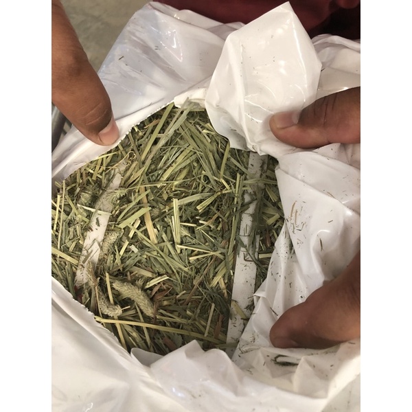 หญ้าทิโมที-timothy-hay-1kg