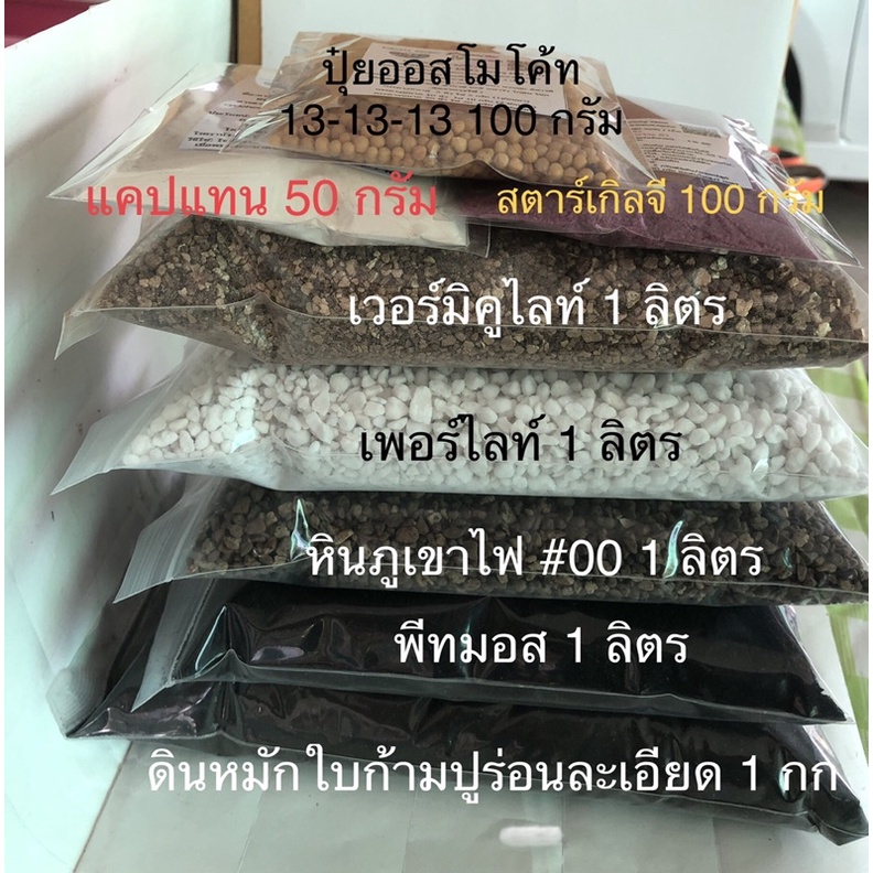 เช็ตปลูกราคาประหยัดดิน-หินภูเขาไฟ-พีทมอส-เวอร์มิคูไลท์-เพอร์ไลท์