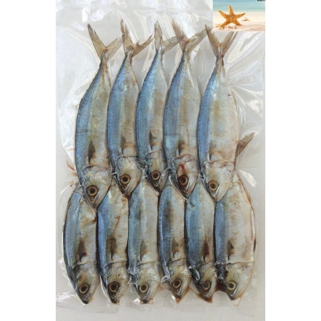 ภาพสินค้าปลาทูหอมขาว  แม่กลอง เค็มน้อยกว่าปลาทูหอม แพ็คละ 11 ตัว 100 บาท(อ่านลายละเอียด ) จากร้าน shopping_dd บน Shopee ภาพที่ 3