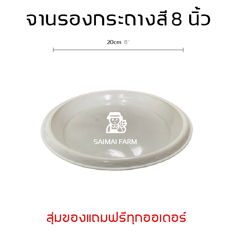 กระถางกลมสีขาว-8-นิ้ว-พร้อมจานรอง-พลาสติก-white-round-pot-8-inches-with-saucer-plastic