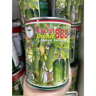 แตงกวา โดนัท888 ขนาด 100 กรัม ติดผลดก  แตกแขนงดี ทนโรค ผลสีเขียวนวล