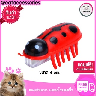 Cat Accessories แมลงโรบอตวิ่งอัตโนมัติ ของเล่นแมว ของเล่นแมวราคาถูก มีถ่านแถมพร้อมเล่น มีให้เลือก2สี