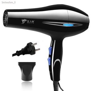 St.Stein เครื่องเป่าผมไฟฟ้า ไดร์ ไดร์จัดแต่งทรงผม ไดร์เป่าผม Hair dryer รุ่นยอดนิยม DELIYA 2200วัตต์ ปรับแรงลมได้ 5 ระดั