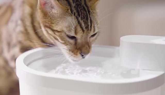 uahpet-น้ำพุแมวอัตโนมัติไร้สาย-รุ่น-zero-wireless-smart-drinking-fountain-ประกันศูนย์ไทย-1-ปี