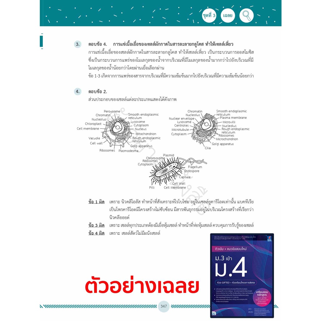 หนังสือสอบเข้าม-4-ปี64-เตรียมสอบ-ม-3-เข้า-ม-4-สรุปเข้ม-แนวข้อสอบ