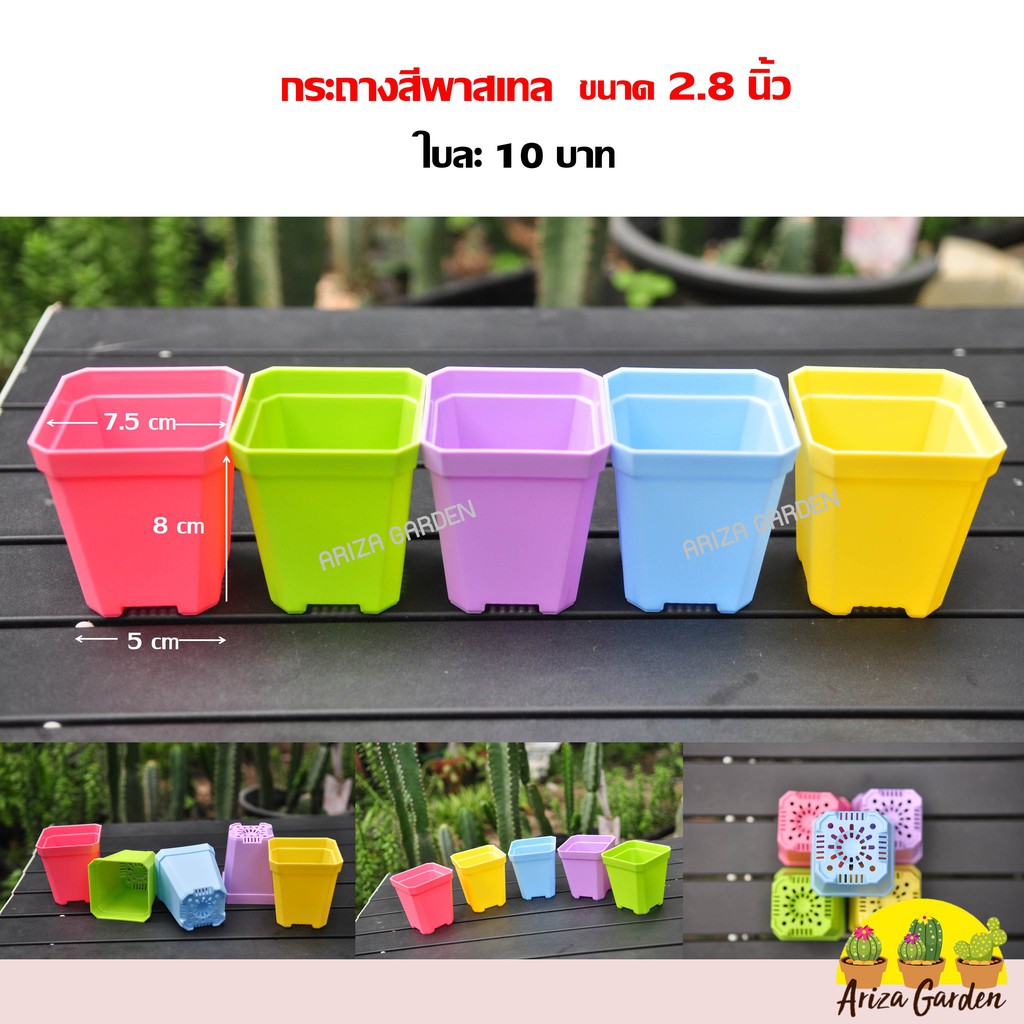 กระถางสีพาสเทล-ขนาด2-8นิ้ว