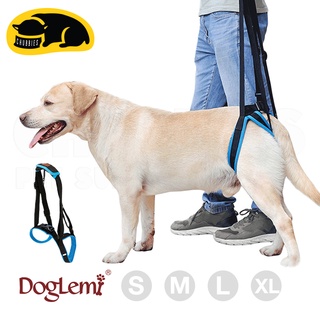 💖พร้อมส่ง💖C130 Doglemi ที่พยุงตัวสุนัข แผ่นพยุงสุนัข อุปกรณ์กายภาพสุนัข แผ่นรองช่วยยกตัวสุนัข อุปกรณ์ประคองตัวสุนัข