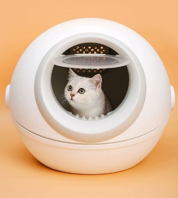 ห้องน้ำแมว-cat-litter-box