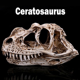 Model โมเดล หัวกะโหลก Ceratosaurus เซอราโตซอรัส ไดโนเสาร์ Dinosaur วัสดุ Resin เรซิ่นเกรดสูง