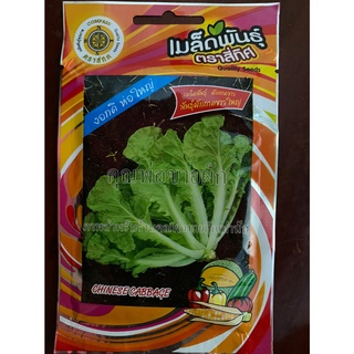 เมล็ดผักกาดขาวใหญ่ 10 แถม 1 ผัดกาดขาวใหญ่ chinese cabbage เมล็ดพันธุ์ผัก