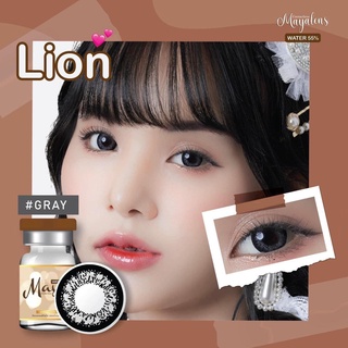 🔥คอนแทคเลนส์✨ขนาดบิ๊กอาย✨ Lion (Mayalens)