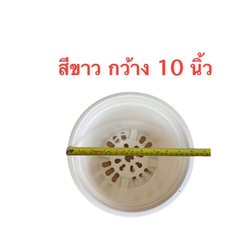 ภาพหน้าปกสินค้ากระถาง 10 นิ้ว สีขาว พลาสติกหนา ทนทาน จากร้าน plantstudio88 บน Shopee