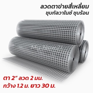 (ตา 2"ลวด 2 มิล กว้าง 0.9/1.2*ยาว 30 เมตร) ตาข่ายกรงไก่ กรงนก ชุบร้อนกันสนิม ลวดตาข่ายสี่เหลี่ยมชุบกัลวาไนซ์