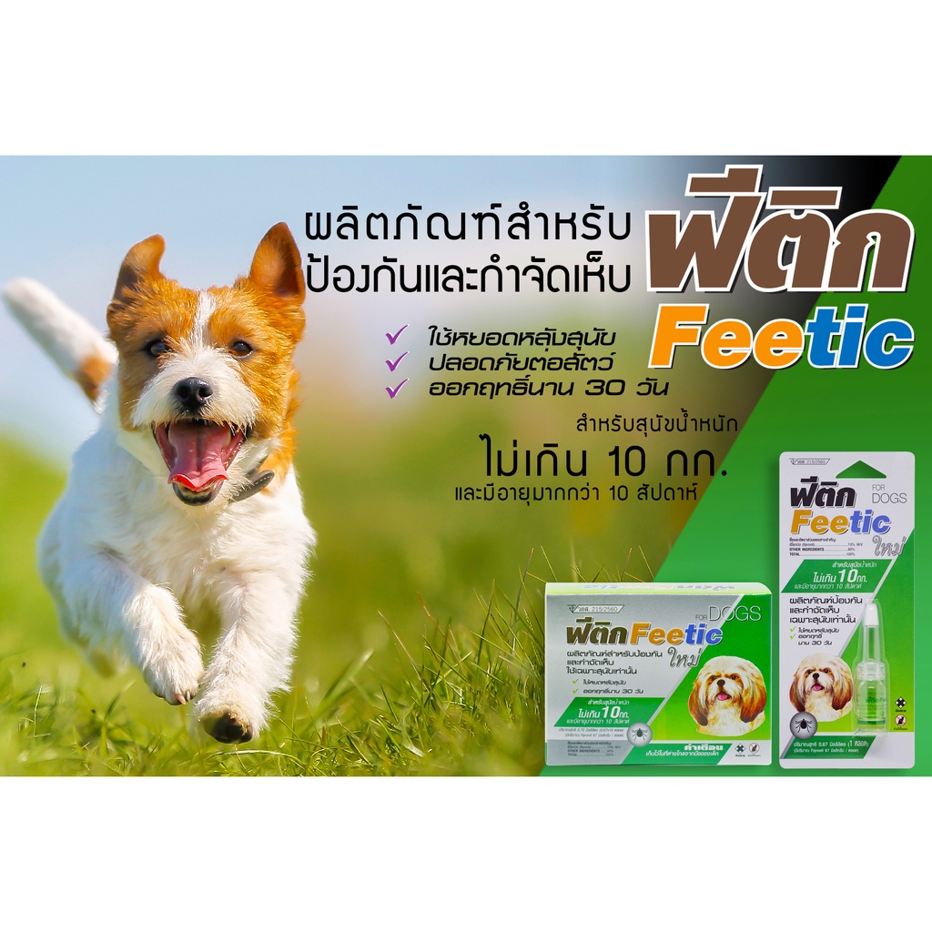 feetic-ยาหยดเห็บหมัด-ฟีติก-ป้องกันเห็บหมัด-กำจัดเห็บหมัด-อย-วอส-215-2560