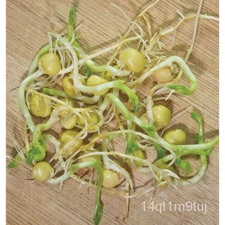 GREEN PEAS SEEDS (มันเป็นเมล็ด,ไม่ใช่พืช!) กางเกง/กุหลาบ/พาสต้า/สร้อยข้อมือ/ผักชี/ดอกไม้/ดอกทานตะวัน/มะละกอ/แอปเปิ้ล/เมล