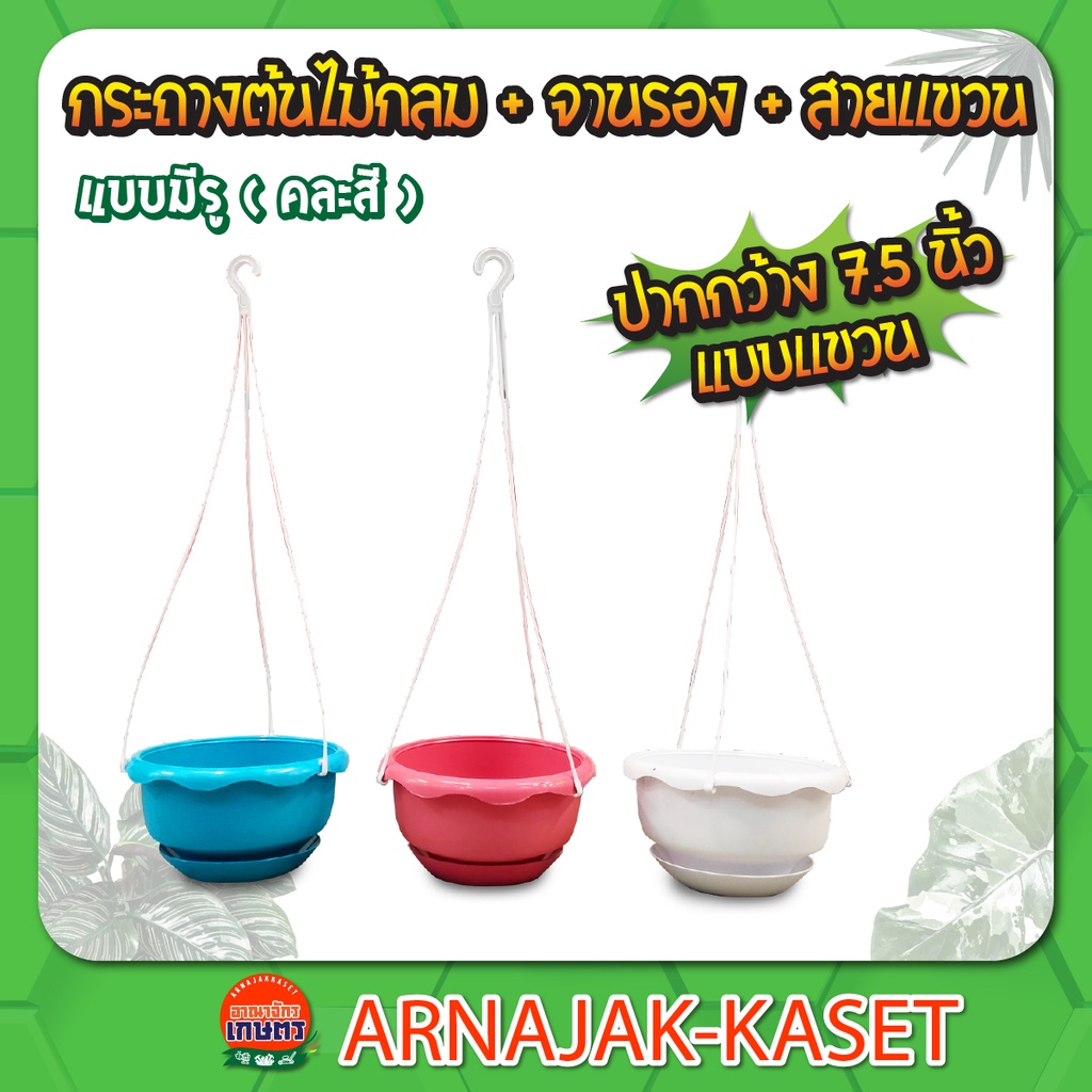 กระถางต้นไม้-กระถางปลูกแคคตัส-แบบกลม-กระถางต้นไม้พลาสติก-กระถางกระบองเพชร-ขนาด-7-9-15-นิ้ว