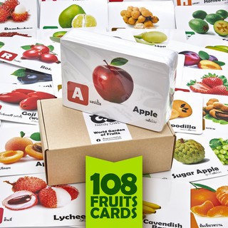 แฟลชการ์ด บัตรคำ การ์ดคำศัพท์ Flash Cards [หมวดผลไม้ World Garden of Fruits] จำนวนใบมากที่สุด 108 ใบ เสริมพัฒนาการ