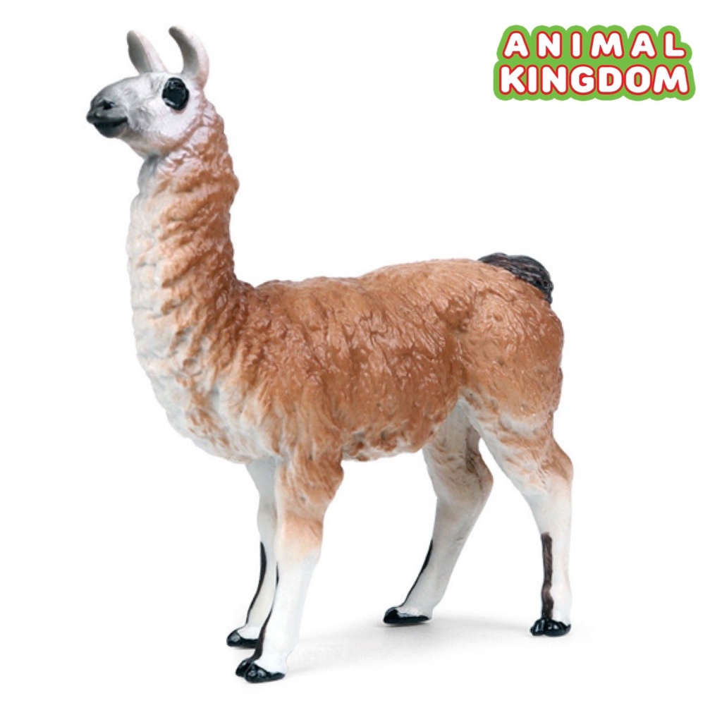 animal-kingdom-โมเดลสัตว์-ลามะ-ขนาด-9-50-cm-จากหาดใหญ่