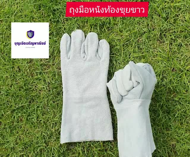 ถุงมือหนังท้อง-รุ่นความยาว-12-ฝ่ามือไร้รอยต่อ-แพ็ค-1-คู่-c01201-ใช้ในงานเชื่อมเหล็ก-อ๊อกเหล็ก-งานนิรภัย