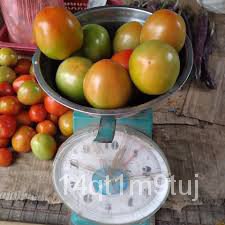 tomatoavatarty-f1-hybrid-20ชนิด-ผักกาดหอม-เสื้อ-ผู้ชาย-ดอกทานตะวัน-มะละกอ-คื่นฉ่าย-สร้อยข้อมือ-เด็ก-แอปเปิ้ล-กระโปรง