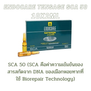 Endocare Tensage. Concentrate SCA 50 10x2ml