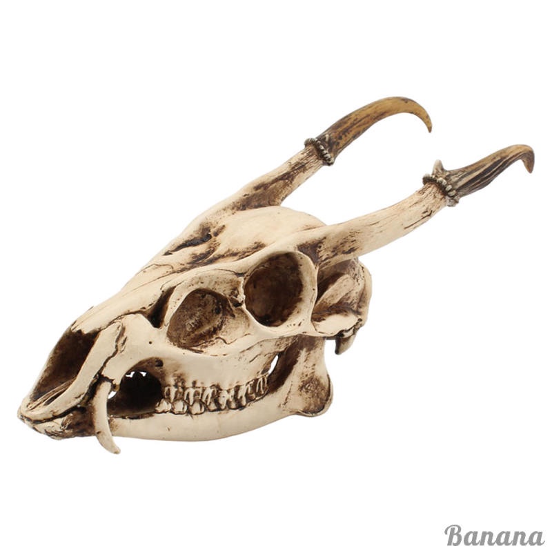 hot-goat-skull-head-sculpture-bone-model-resin-animal-vintage-style-creative-figurines-viking-gothic-for-party-kitchen-bedroom-home-decor-living-room