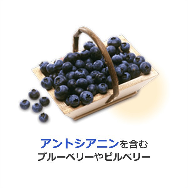 ซันโตรี่-suntory-blueberry-90-tablets-30-days