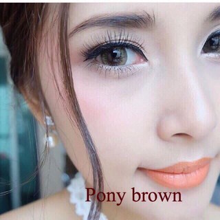 คอนแทคเลนส์🌈Pony🌈 Brown/Gray (Montra) ขนาดบิ๊กอาย💖ขายดี🍭
