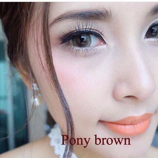 คอนแทคเลนส์🌈Pony🌈 Brown/Gray (Montra) ขนาดบิ๊กอาย💖ขายดี🍭