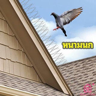 หนามไล่นก อุปกรณ์ไล่นกทำรัง ทนทาน ทนแดด ทนฝน bird thorn