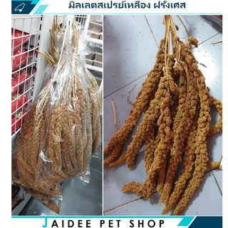 สินค้า มิลเลตสเปรย์เหลือง ประมาณครึ่งโล