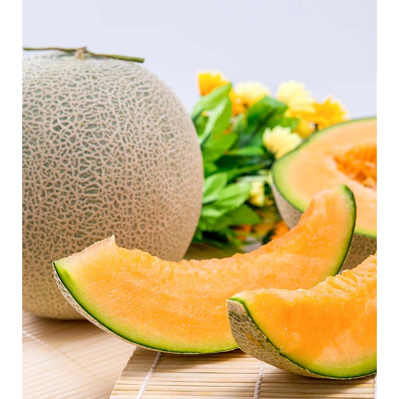 ภาพสินค้าเมล็ดพันธุ์ เมล่อน ท็อปมาร์ค (Top Marks Melon Seed) บรรจุ 40 เมล็ด คุณภาพดี ราคาถูก 100% จากร้าน ppshopth บน Shopee ภาพที่ 2