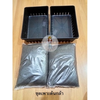 ชุดเพาะกล้า สำหรับมือใหม่และมือเก่า ดินพีทมอส+ถาดไดโซะ