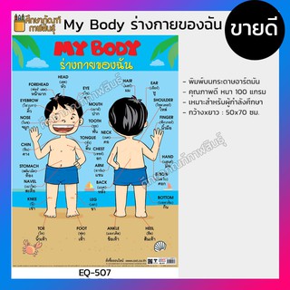 โปสเตอร์กระดาษ โปสเตอร์หัดอ่าน My Body ร่างกายของฉัน EQ-507 ร่างกาย อวัยวะ ภาษาอังกฤษ / ภาษาไทย โปสเตอร์สื่อการเรียนรู้