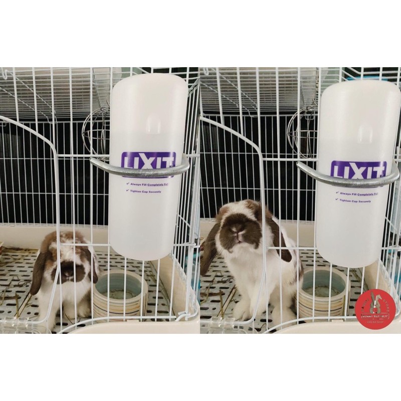 lixit-ขวดน้ำติดกรงสัตว์เลี้ยง-8oz-16oz-32oz-สำหรับสัตว์เลี้ยง-สุนัข-แมว-กระต่าย-สัตว์เล็กอื่น-ๆ-ทนทานต่อการใช้งาน