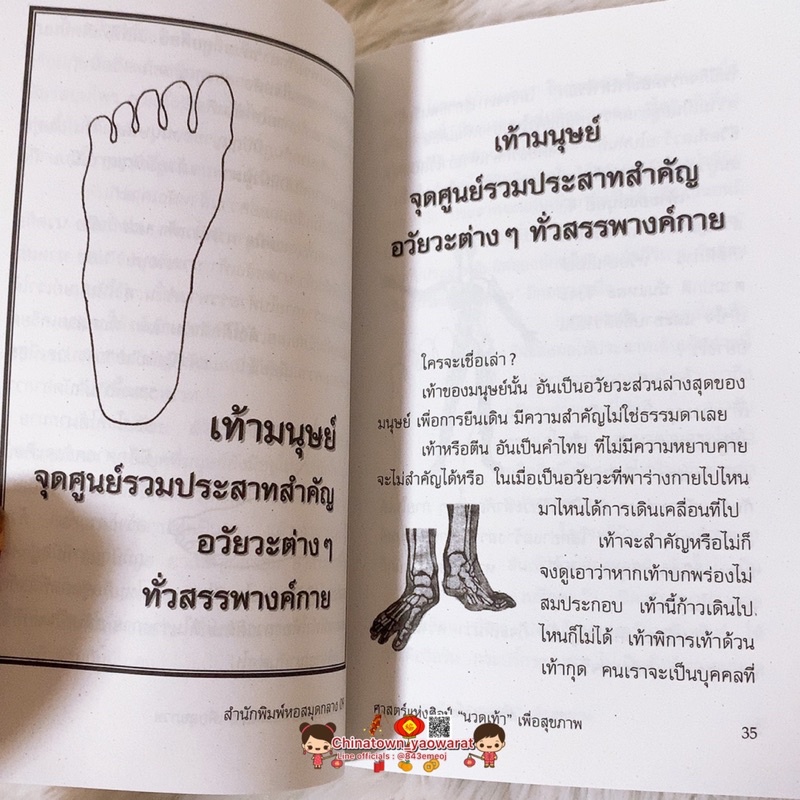 หนังสือ-นวดเท้าเพื่อสุขภาพ-เล่มเขียว-กดจุดรักษาโรค-การนวดกดจุด-ลมปราณ-ไม้กดจุด-กัวซา-เบาะนวด-นวดแผนโบราณ-นวดแผนไทย