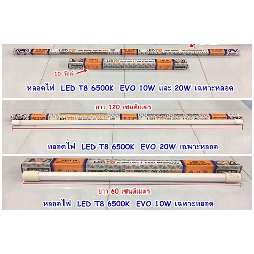 หลอดไฟ-led-t8-6500k-evo-10w-และ-20w-เฉพาะหลอด