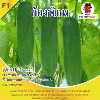 เมล็ดพันธุ์ แตงกวาก้องพิภพ บรรจุ 1 กรัม