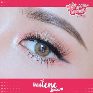 mini Milene Brown Kitty Kawaii คอนแทคเลนส์ สายตาสั้น ค่าสายตา มินิ สีน้ำตาล หวาน เท่าตาจริง contact lens ค่าอมน้ำสูง