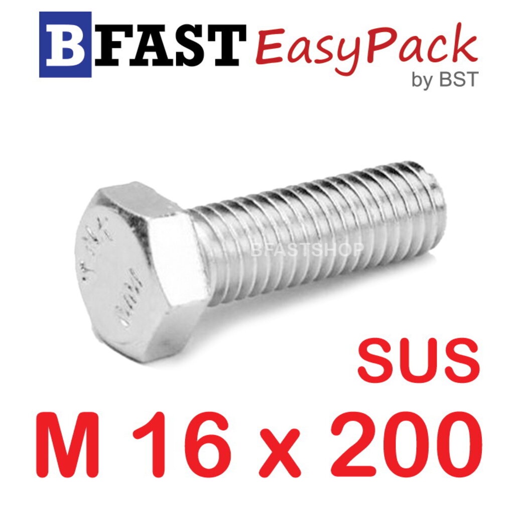 สกรูหัวเหลี่ยมสแตนเลส-m16-x-200