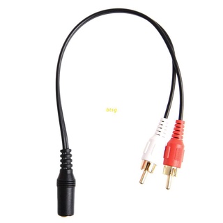 btsg 3.5mm Stereo Female Jack To 2 Male RCA Plug Audio Y Splliter Conversion Cable