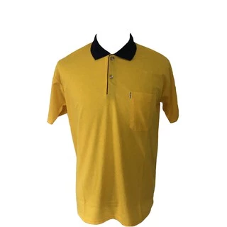 เชิ้ต ralph lauren ราคาพิเศษ | ซื้อออนไลน์ที่ Shopee ส่งฟรี