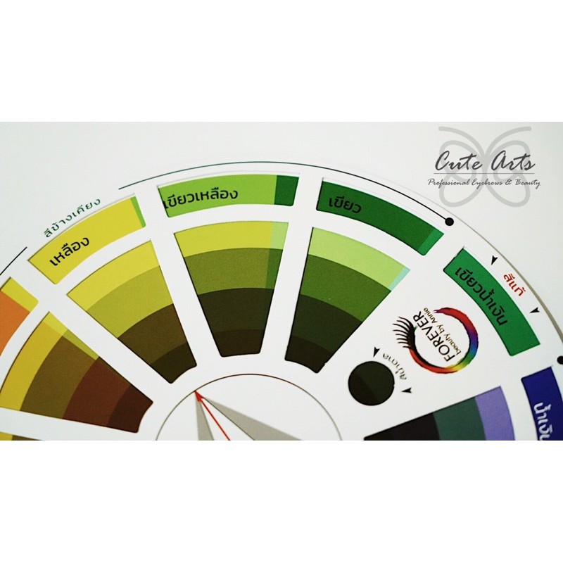 วงล้อสี-color-wheel-สื่อผสมสี-ฉบับภาษาไทย-ใช้ง่าย-สำหรับแนะแนวการผสมสี-สำหรับ-งานศิลปะ-และ-งานช่าง-คุณภาพสูง