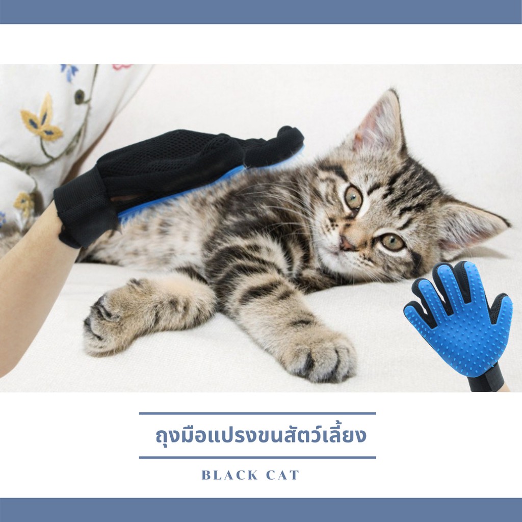 ภาพหน้าปกสินค้าBlack cat  ถุงมือรูดขนสัตว์ ถุงมือแปรงขนสัตว์